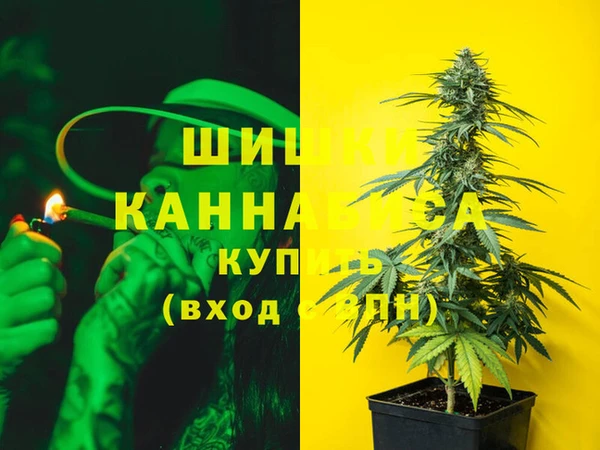 сатива Покров
