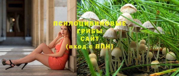 2c-b Пролетарск