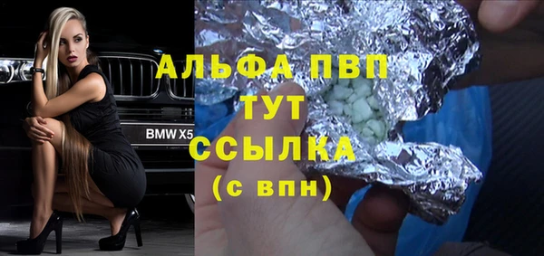 прущие грибы Покровск