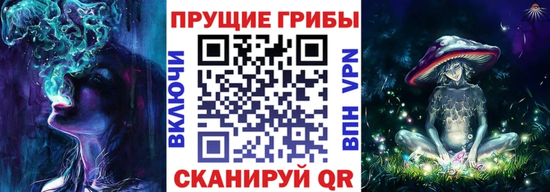 купить наркотик darknet Telegram Галлюциногенные грибы мицелий Абдулино